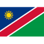 Namibia W logo