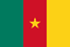 Cameroon W logo