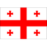 Georgia W logo