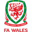 Wales W logo