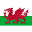 Wales U17 logo