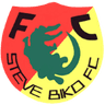 Steve Biko logo