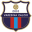 Varesina logo