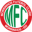Morrinhos logo