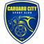 Caruaru City logo