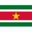 Suriname W logo