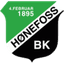 Hønefoss W logo