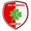 Progresul Fundulea logo