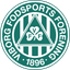 Viborg logo