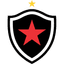 Botafogo PB U20 logo