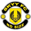 Skyy logo