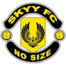 Skyy logo