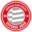 Viitorul Arad logo