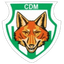 Acambaro logo