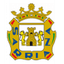Sarriana logo