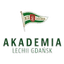 Akademia Piłkarska LG logo