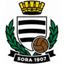 Sora logo