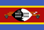 Ezulwini United logo