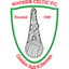 Wayside Celtic logo