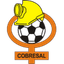 Cobresal logo