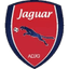 Jaguar U20 logo