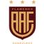Flamengo SP logo