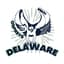 Delaware Ospreys logo
