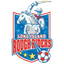 Long Island Rough Riders W logo