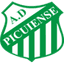 Picuiense U20 logo