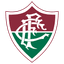 Fluminense U17 logo