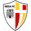 Nissa logo