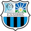 Essube logo