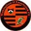 Wokingham Town logo