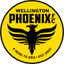 Wellington Phoenix II logo