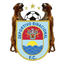 Deportivo Binacional logo