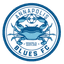 Annapolis Blues W logo
