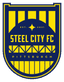 Steel City W logo