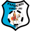 Pandurii TG JIU logo