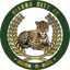 Riacho City U20 logo