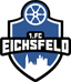 Eichsfeld U19 logo