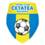 Cetatea Suceava logo