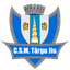 CSM Targu Jiu logo
