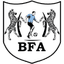 Black Lions logo