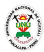 Atlético Nacional de Pucallpa logo