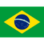 Team Brazil logo
