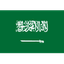 Team Saudi Arabia logo