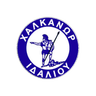 Halkanoras logo