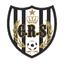Riadi Salmi logo