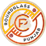 Minerva Punjab logo