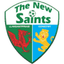 The New Saints logo